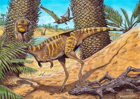 Berthasaura Leopoldinae UFRJ