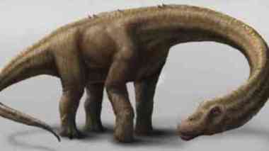 Dreadnoughtus schrani