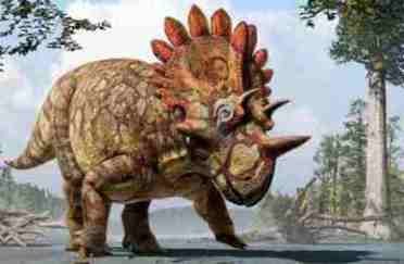 Regaliceratops