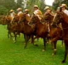 caballos paso