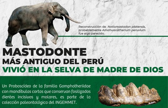 mastodonte Madre de Dios