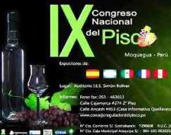 congreso pisco