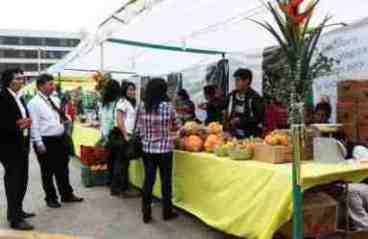 Festival Nacional de la Agrobiodiversidad 2014