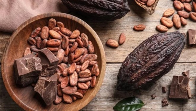 cacao granos chocolate adex