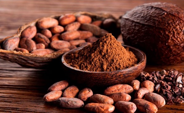 cacao granos cocoa adex