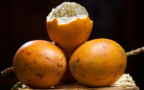 granadilla 5 adex