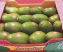 palta_fuerte_caja.jpg