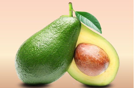 palta partida 4