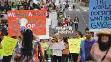 marcha contra monsanto 2013