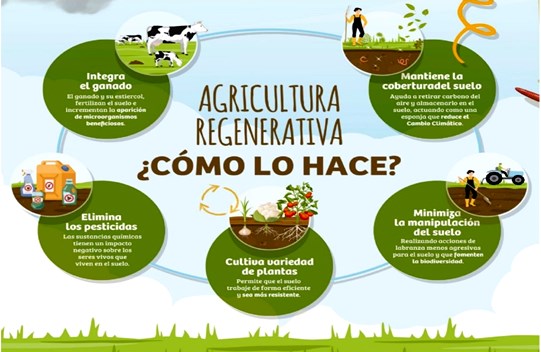 agricultura regenerativa