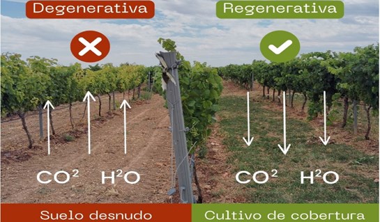 agricultura regenerativa y degenerativa