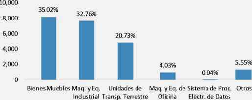 leasing por bienes