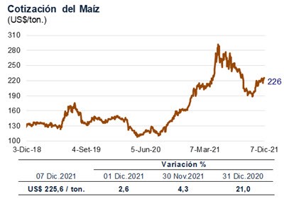 maiz 07 dic 2021