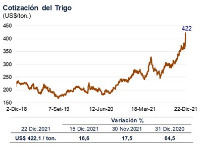 trigo 22 dic 2021