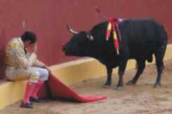 torero alvaro munera