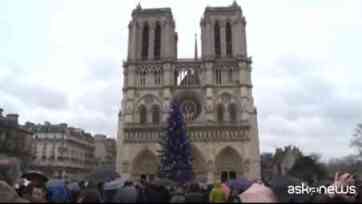 Notre Dame cloches Charlie