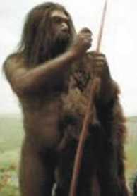 neandertal