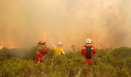 incendio forestal 2024