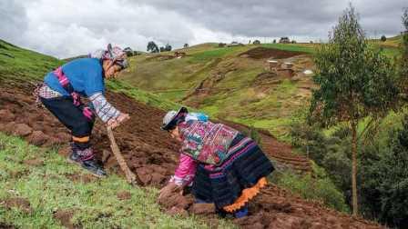 agricultura familiar Andes