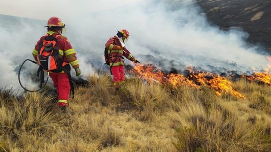 bomberos incendios forestales 2024