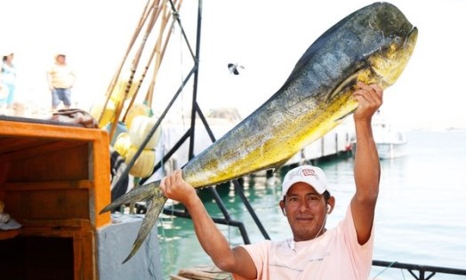 pescador perico