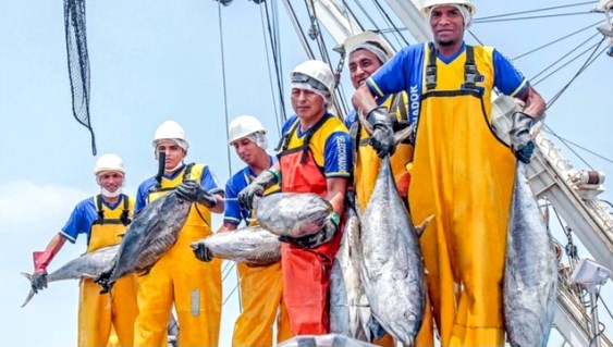 pescadores atunes