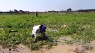 inundacion Moche campo sandias