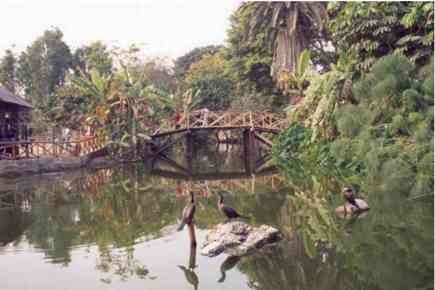 laguna selva Parque Leyendas