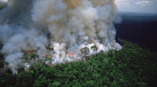 incendio Amazonas set 2024