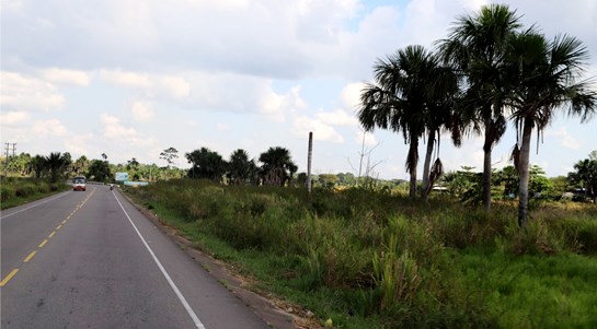 carretera selva 2