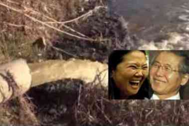 cloaca Keiko fujimori