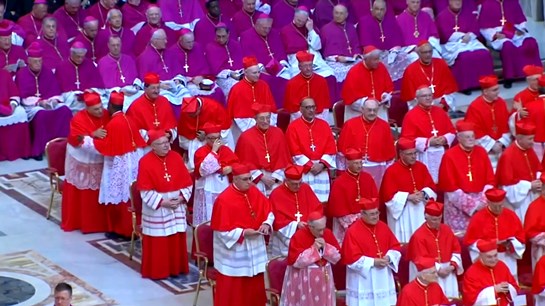 cardenales