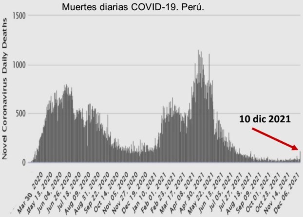 muertes covid 10 dic 2021