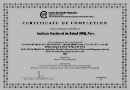 certificado oms diagnostico influenza