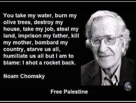 Noam Chomsky palestinso