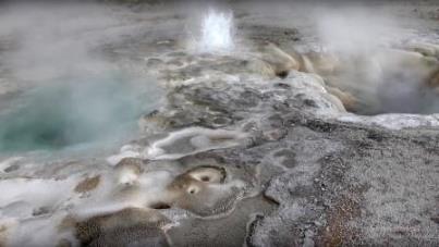 Yellowstone fosas