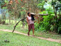 Mujer cargando madera yantalo