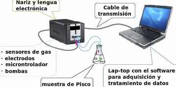 nariz lengia electronica