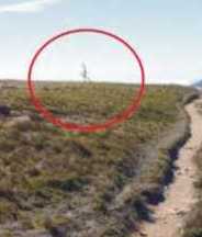 extraterrestre taiwan 2013 2