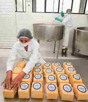 planta quesos espinar