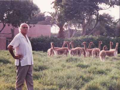 Felipe Benavides vicunas