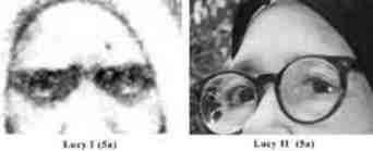 cejas Lucia I Lucia II