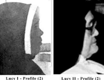 perfil Lucia I Lucia II
