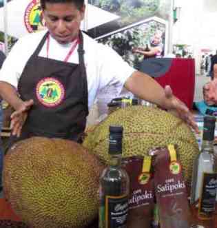 Artocarpus heterophyllus Lam Expocafe