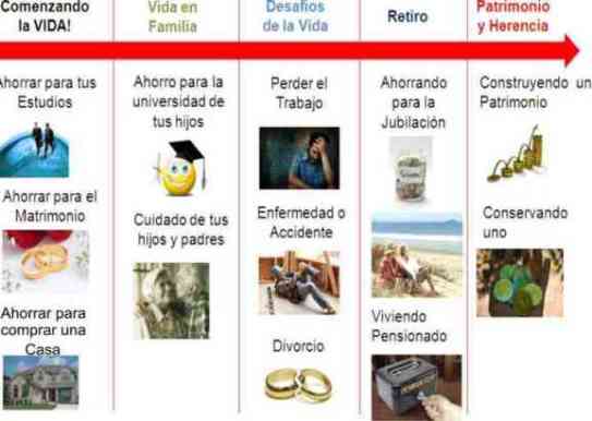 tipos seguros Rimac