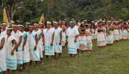 maijunas adultos