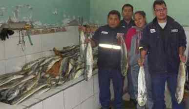 perico decomiso