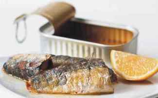 sardina conserva