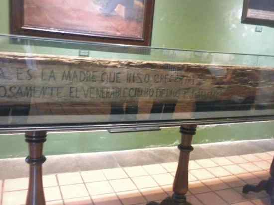 viga San Juan Macias