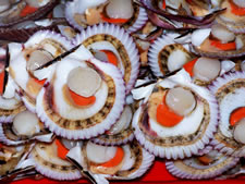 conchas de abanico